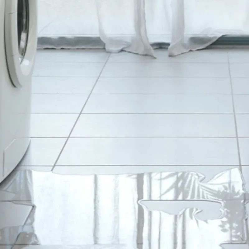Appliance Leak Cleanup in Sumner, IL