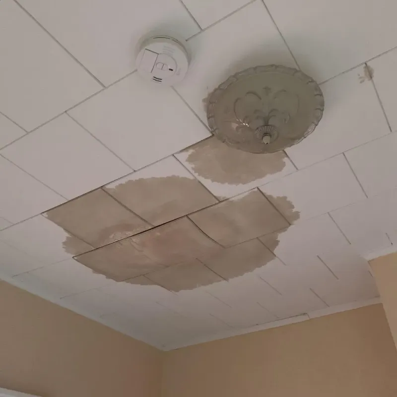 Ceiling Water Damage Repair in Sumner, IL