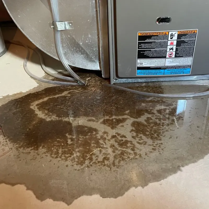 Pipe Burst and Leak Restoration in Sumner, IL