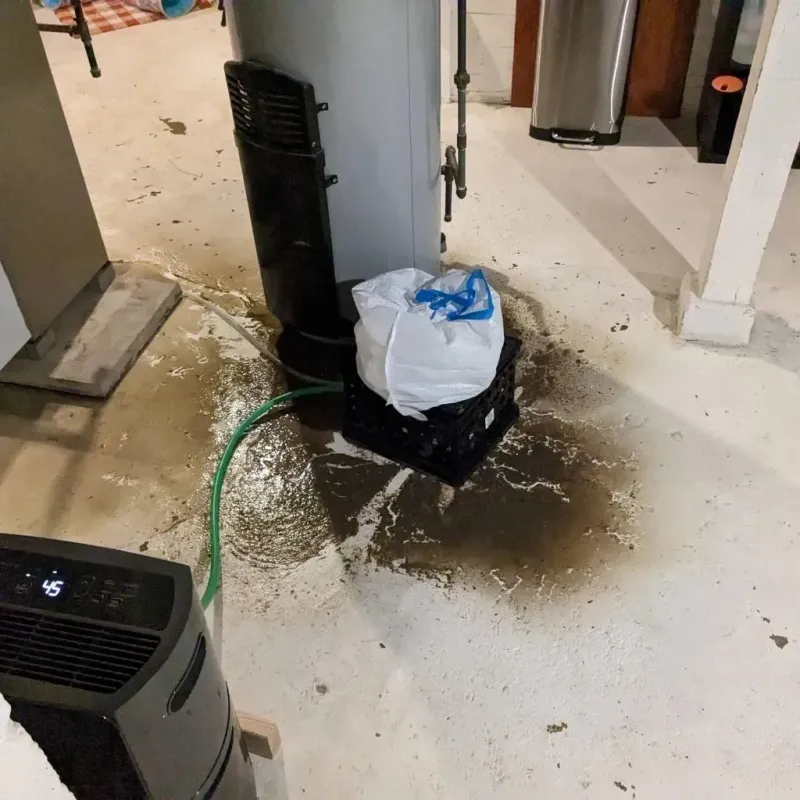 Sewage Backup Cleanup Service in Sumner, IL